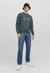 Jack & Jones JORSILVERLAKE - Sudadera - magical forest