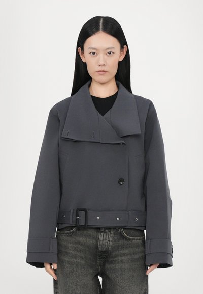 Veste grise croisée avec un large col, une taille ceinturée et de grandes poignets. Fabriquée en tissu lisse, elle présente une fermeture par boutons et des détails minimalistes.
