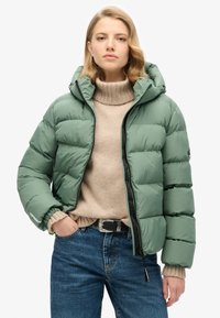Superdry & Co HOODED PUFFER - Giacca invernale - laurel khaki