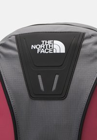 The North Face DAYPACK UNISEX - Mochila - smoked pearl/red