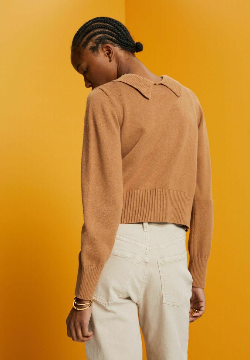 Pull court marron avec un ourlet et un col côtelés, associé à un pantalon taille haute de couleur claire. Vue de dos sur un fond orange.