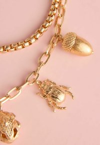 Zeltītajā ķēdes kaklarotā ir trīs piekariņi: ozola rieksts, vabole un vardīte. Rāda gludu tekstūru; spīdīga virsma; sarežģīta piekariņu noformējuma detaļām.