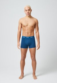 SNOCKS 6 PACK MIT FARBIGEM BUND - Trunks - blaue streifen