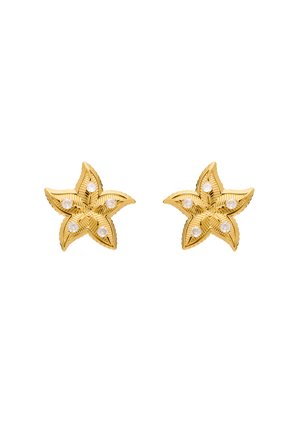 SEASTAR  - Korvakorut - gold-coloured white white