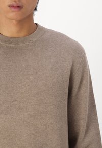 Jack & Jones PREMIUM Stickad tröja - beige