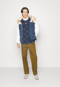 Tommy Jeans ALASKA - Chaqueta de plumas - trench/multi