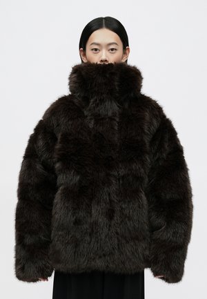 STEILIA - Páperová bunda - brown