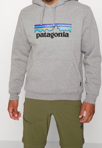 Patagonia Jersey con capucha - grey