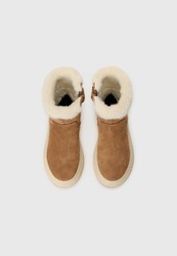 Geox LAQUINNY - Bottes - whisky