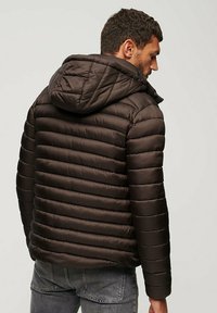 Superdry & Co FUJI  - Giacca invernale - dark oak brown