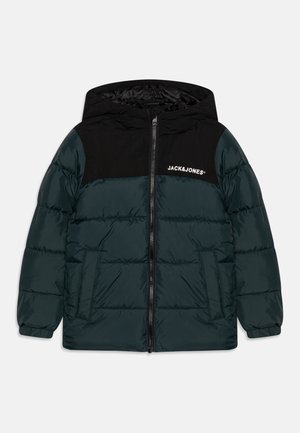 Jack & Jones Junior, MOON - Winterjacke - magical forest