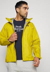 Patagonia TORRENTSHELL 3L - Casaco impermeável - green