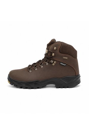 Bota de montaña alta marrón con suela negra, ojales metálicos, cuello acolchado en el tobillo y etiqueta Gore-Tex en el lateral.