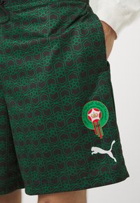Sorte shorts med et grønt geometrisk mønster og stjerner. Inkluderer et trykt logo fra fodboldforbundet og et hvidt Puma-logo ved kanten.