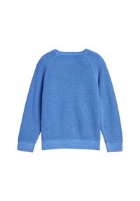Maglione blu lavorato a maglia con un motivo testurizzato, maniche raglan e polsini e orlo a coste. Presenta un classico design a girocollo.