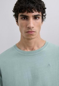 Mintgroene katoenen T-shirt met een ronde halslijn en subtiele logodetail op de borst, met een gladde textuur en een klassieke pasvorm.