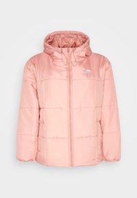 Rosa vadderad jacka med huva, utrustad med en framfickslåsförslutning, elastiska ärmmuddar och en diskret logotyp på bröstet. Slät, glänsande textur.