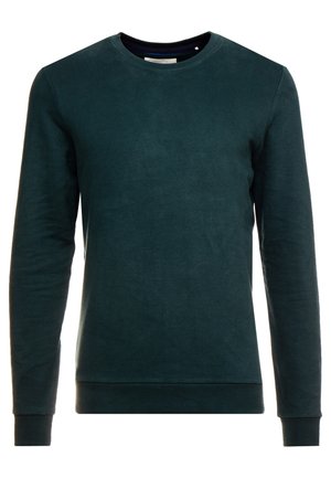 Dunkelgrünes Sweatshirt mit Rundhalsausschnitt, langen Ärmeln, gerippten Bündchen und Saum, dargestellt auf weißem Hintergrund.