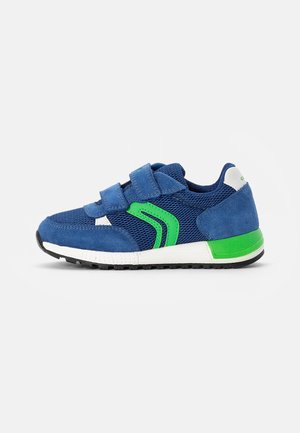 ALBEN BOY - Tenisky - royal/green