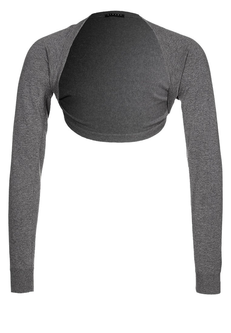 Šedý zkrácený svetr s dlouhými rukávy, vyrobený z měkké, elastické látky. Tělo je střihnuté krátce, s ribovými manžetami a zaobleným výstřihem.