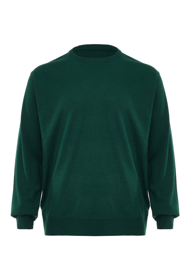Sweatshirt verde cu guler rotund, mâneci lungi, tivuri ribbate, realizat dintr-un material moale, texturat. Fără modele sau accesorii vizibile.