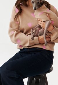 Pull beige avec des motifs de cœurs roses, porté avec un jean en denim foncé. Un petit chien gris portant un pull assorti est tenu dans les bras de la personne.
