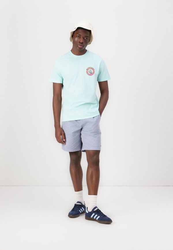 SHRED TIL TEE UNISEX - Print T-shirt - light aqua2