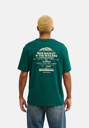 Quiksilver, BM CONCERT SS UNISEX - Тениска с щампа - botanical garden