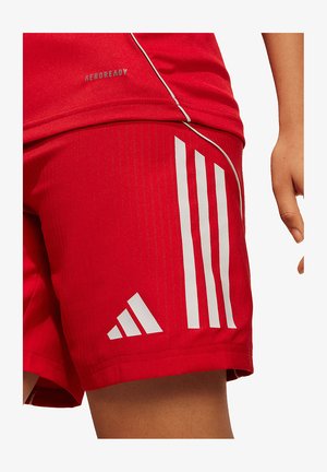 adidas Performance, Pantaloncini sportivi - rotgrau