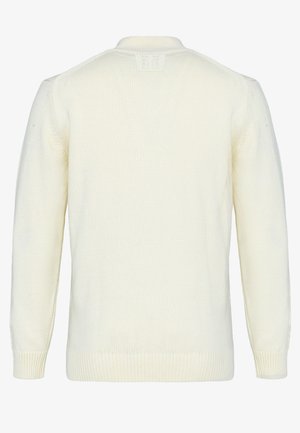 Beiger Strickpullover, Rückansicht, mit langen Ärmeln, gerippten Bündchen und einem kleinen Aufnäher unter dem Kragen.