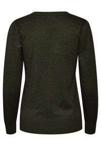 Dunkelgrüner Pullover mit langen Ärmeln, geripptem Halsausschnitt und Bündchen. Weicher Stoff, einfaches Design ohne Muster oder Akzente.
