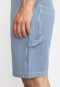 Heren shorts in blauw en witte verticale strepen, gemaakt van lichtgewicht stof, met een zijzak en afgewerkte randen.