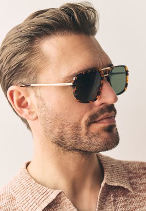 SIGNATURE NAVIGATOR - Zonnebril - tortoiseshell brown