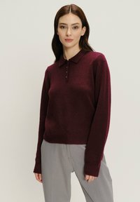 Žena s dlouhými tmavými vlasy, která nosí vínově červený svetr s dlouhým rukávem a límečkem s knoflíky, v kombinaci se světle šedými kalhotami, na neutrálním pozadí.