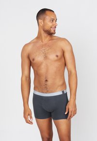Grijze boxershorts met een grijze tailleband, voorzien van een gladde textuur en een getailleerd ontwerp, gedragen door een man met een lichte huidtint.