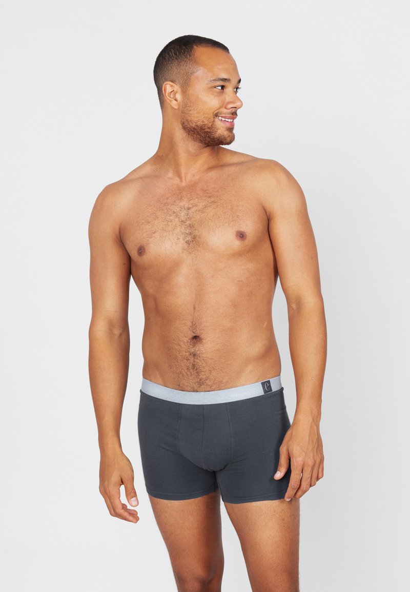 Grijze boxershorts met een grijze tailleband, voorzien van een gladde textuur en een getailleerd ontwerp, gedragen door een man met een lichte huidtint.
