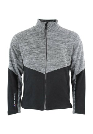 Peak Mountain CROCUS - Veste polaire - gris clair