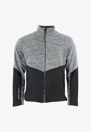 Peak Mountain CROCUS - Giacca in pile - gris clair