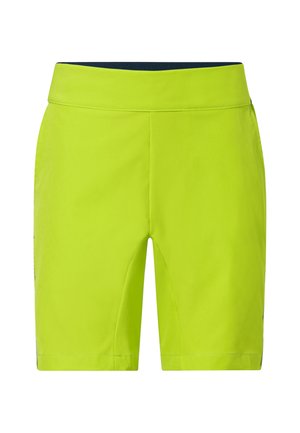 DETECTIVE STRETCH  - Short de sport - chute green