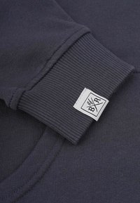 Band of Rascals FLASH - Huppari - dark grey