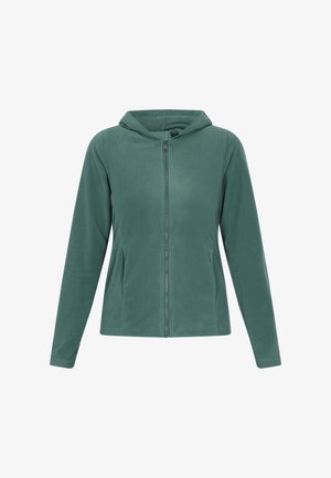 Giacca a hoodie in pile di un verde tenue, con zip completa, maniche lunghe e texture liscia senza motivi visibili.