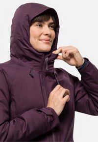 Jack Wolfskin STIRNBERG INS - Hardshelljacke - grapevine