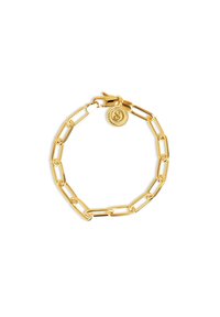 Pulsera de cadena de metal dorado con eslabones alargados, cierre de langosta y un charm circular con un diseño en relieve. Textura suave.