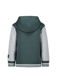 Hoodie met een donkergroene body en grijze mouwen, met gestreepte manchetten en onderkant, gemaakt van zacht katoenmix materiaal.
