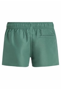 Shorts de bain verts avec une taille élastique, une texture lisse et une poche arrière unique. Tissu léger, longueur au-dessus du genou.