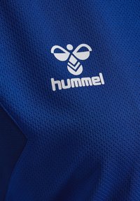 Hummel AUTHENTIC ZIP - Træningsjakke - true blue