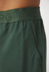 Björn Borg ACE SHORT SHORTS - Sportiniai šortai - sycamore