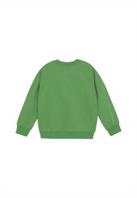Grüner Pullover aus weichem Material, mit Rundhalsausschnitt, langen Ärmeln sowie gerippten Bündchen und Saum. Hat keine sichtbaren Muster oder Grafiken.