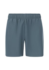 Grå shorts med elastisk midjeband, tillverkade av ett smidigt, lätt tyg. Enkelt design utan synliga mönster eller metalldetaljer.
