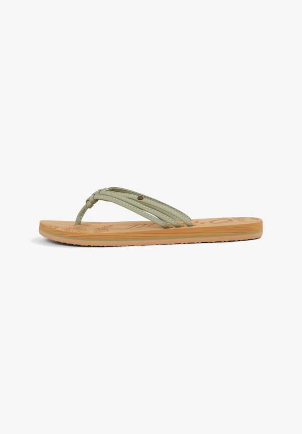 FOOTWEAR DITSY – Zehentrenner – avery fern